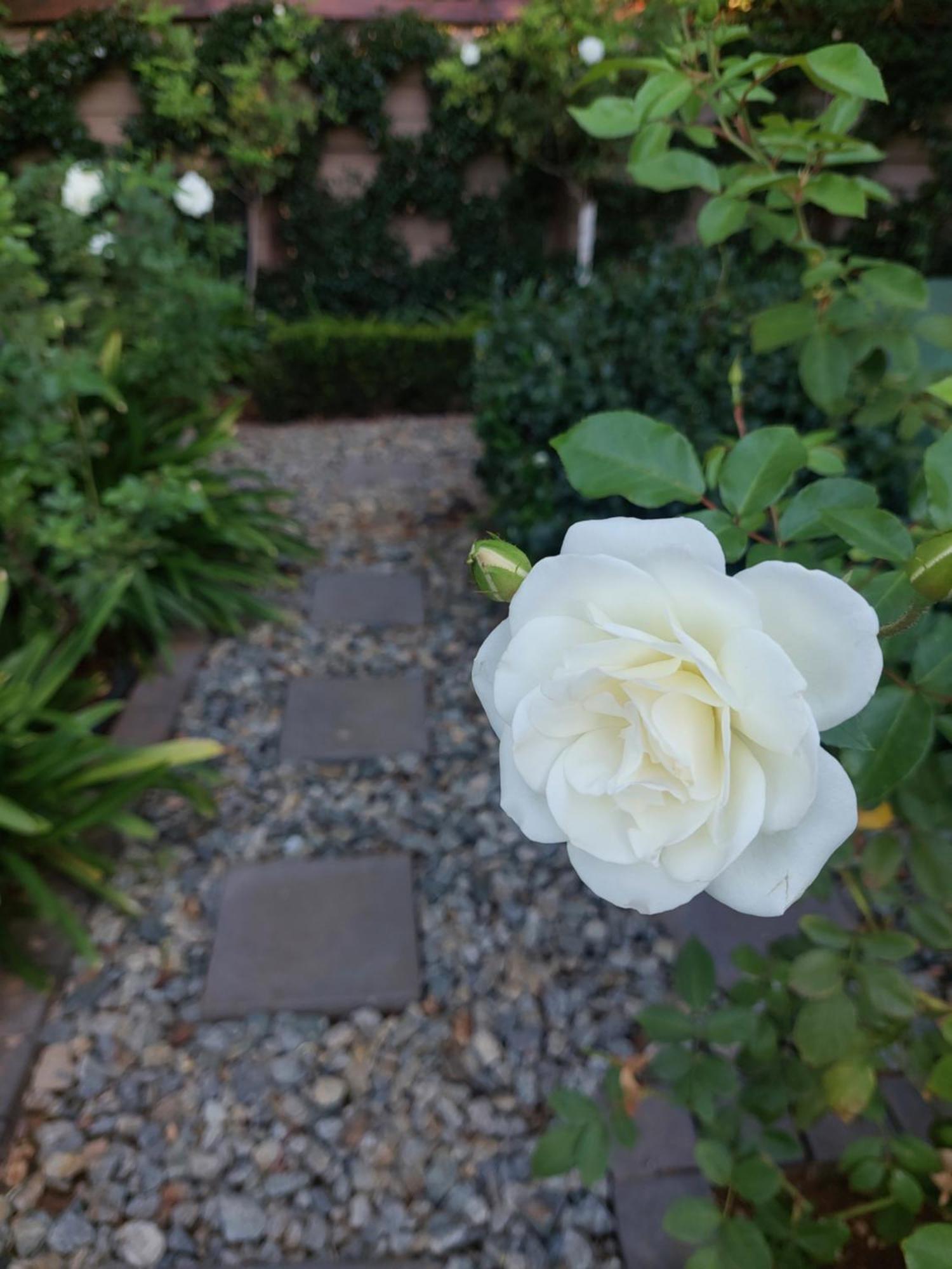 Bella Rosa Bed & Breakfast Potchefstroom Luaran gambar